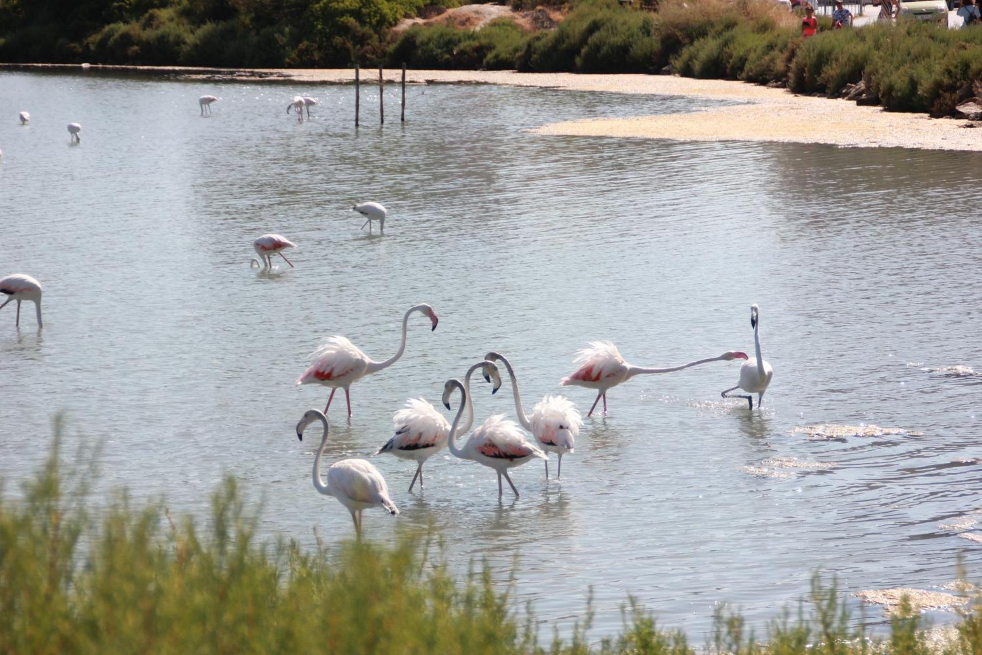 Appartamento Casa Veintiuno En Calp Esterno foto