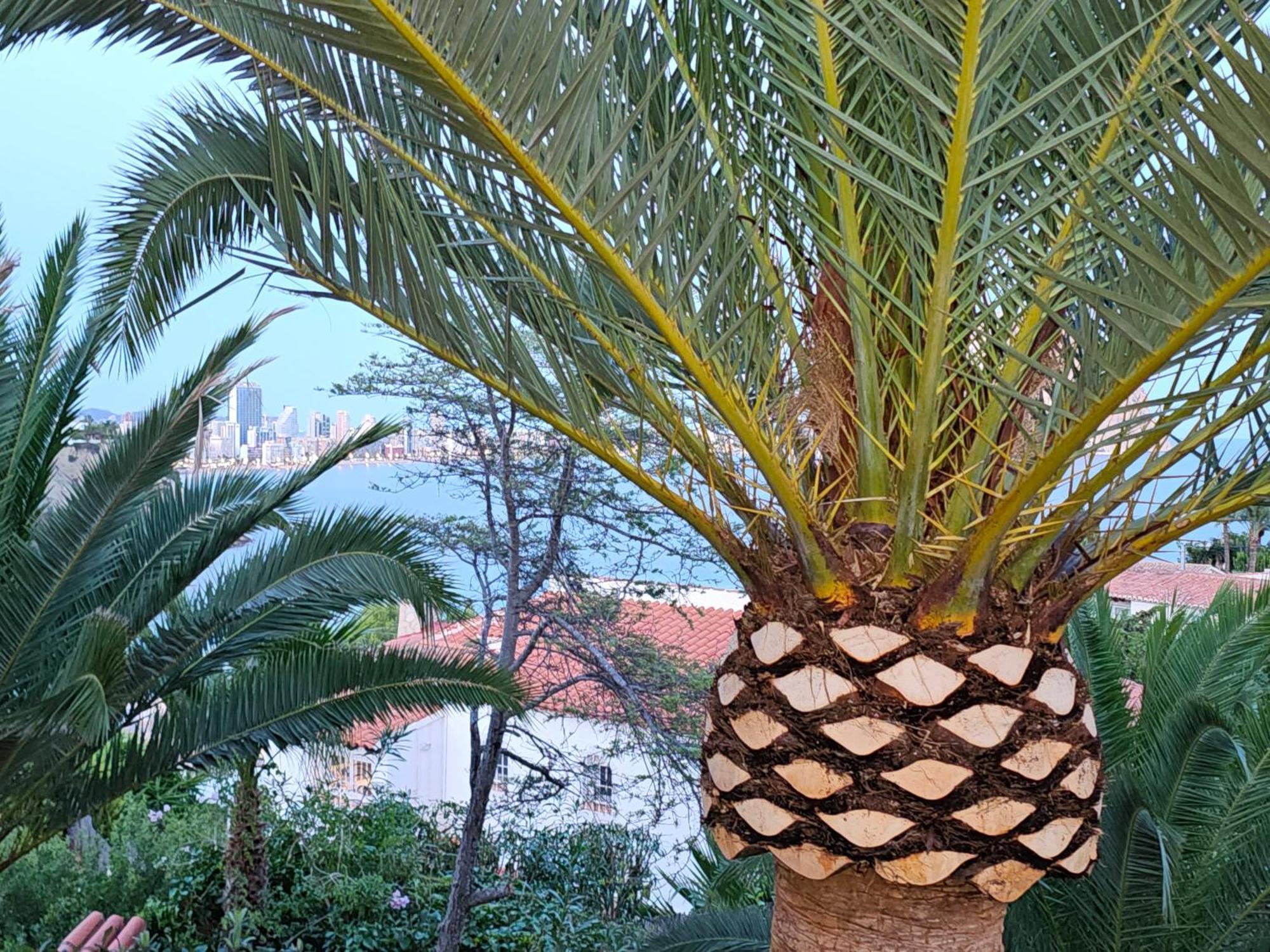 Appartamento Casa Veintiuno En Calp Esterno foto
